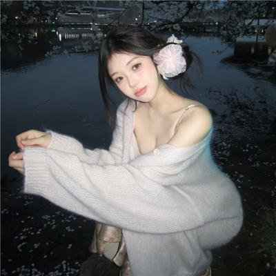 宠物情人
